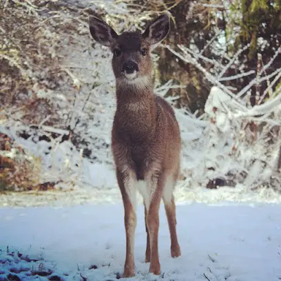 4-Ever Moments Photography