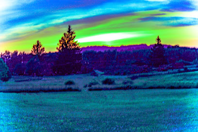 A Moment in Time Photography
