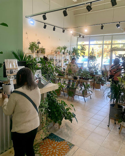ABBOTT'S FLORIST