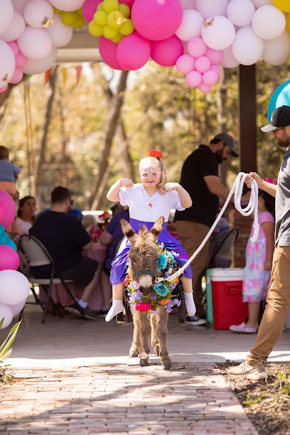 Air Ponies- Mobile petting zoo
