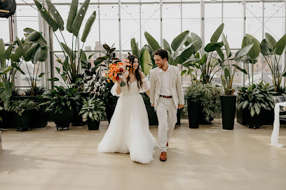 Alasandra Photography