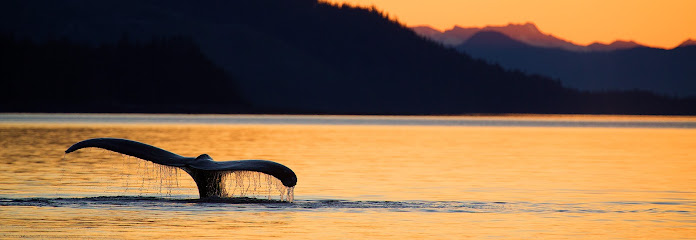 Alaska Photo Tours