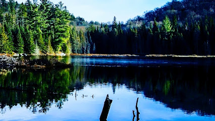 Algoma Photography
