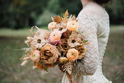 Alicia Osborne Photography
