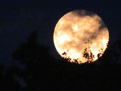 All Wright Photography