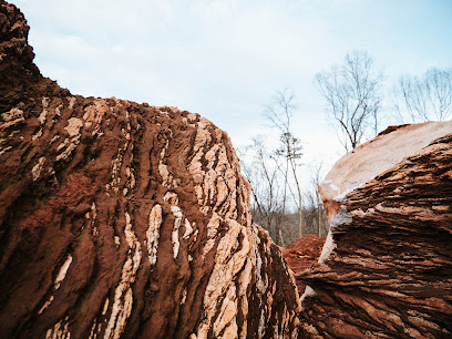 Allie Krauser Digitals Photography