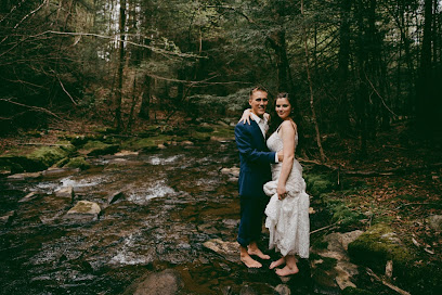 Allisha Linnea Photography