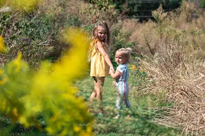 Amanda Brassfield Photography