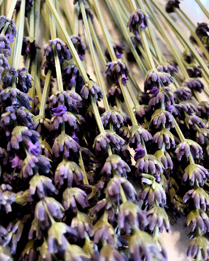Amethyst Mountain Photography