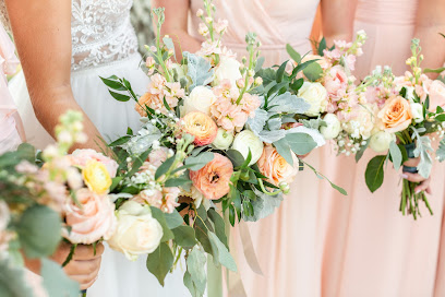 Andrea Kelley Photography
