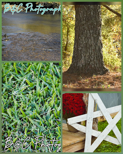 B&C Photography