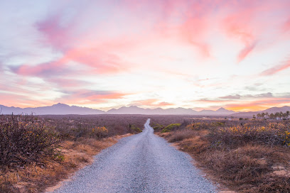 Beau Sniderman Photography