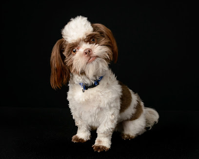 Bennett Photography