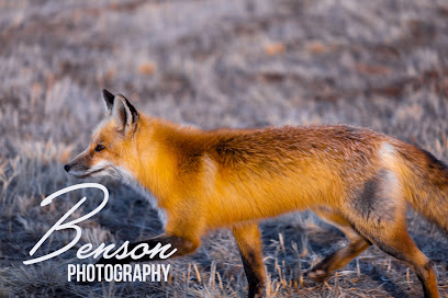 Benson Photography