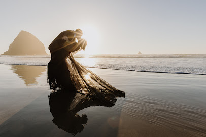 Bethany Bloem Photography