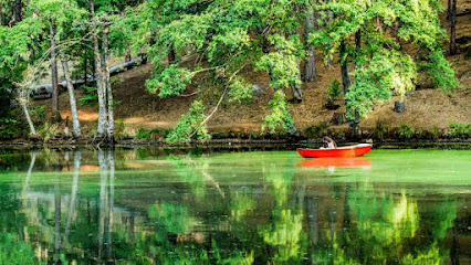 Big Cedar Springs Photography