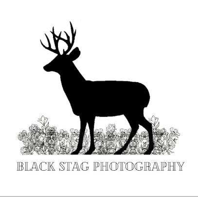 Black Stag Photography