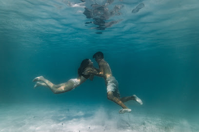 Blake Evans Photography