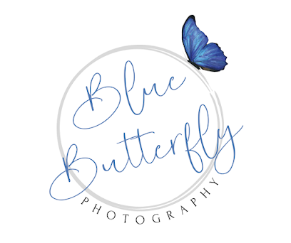 Blue Butterfly Photography