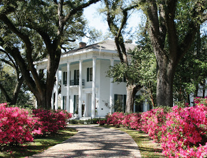 Bragg-Mitchell Mansion
