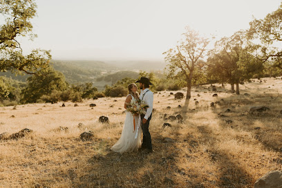 Bri Bischof Photography