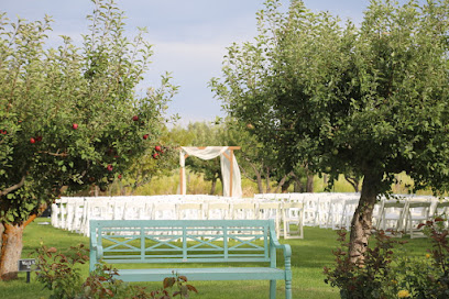 Brightside Vintage Farm