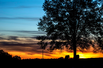 Bryce Camp Photography