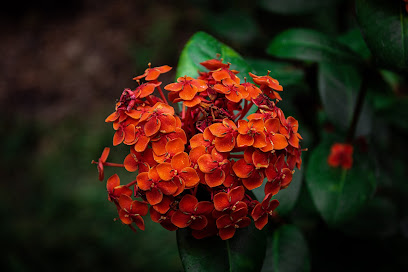 Caden Wyatt Photography