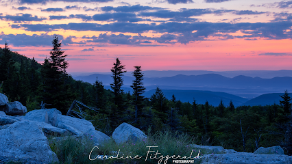 Caroline Fitzgerald Photography