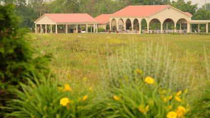 Cedar Springs Pavilion