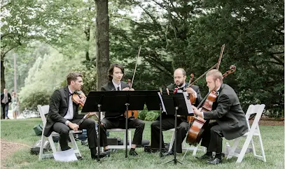 Cherrywood String Quartet and Ensembles-Wedding Musicians