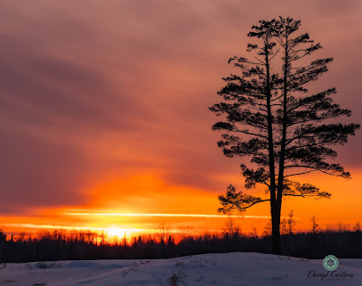 Cheryl Carlson Photography