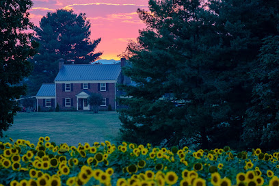 Chris Saunders Photography