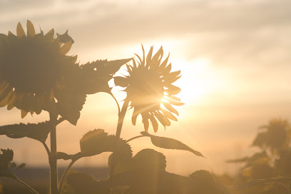 Chris Wheeler Photography