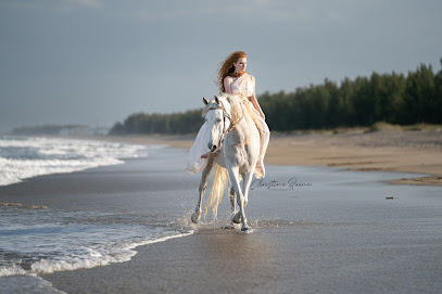 Christine Quinn Photography