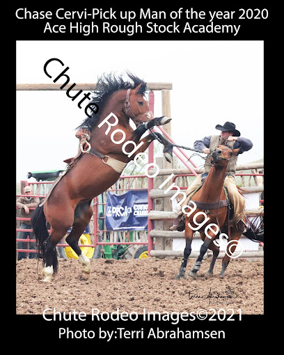 Chute Rodeo Images Photography