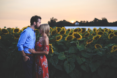 Curtis Aho Photography