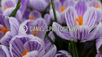 Daniel&apos;s Photography