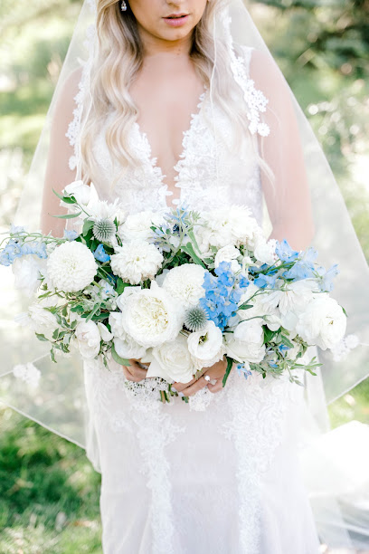 Danielle Roth Photography