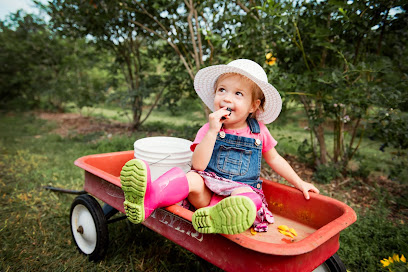Easley Life Photography