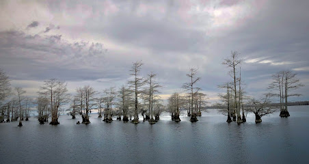 Edenton Bay Photography