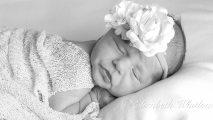 Elizabeth Whitlow Photography