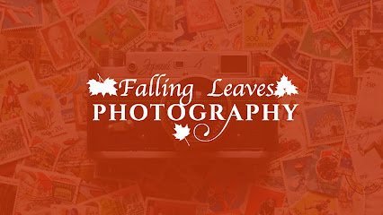 Falling Leaves Photography