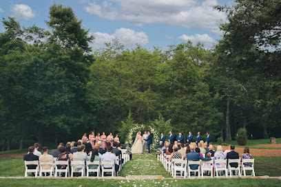 Fancy Pants Wedding Photography