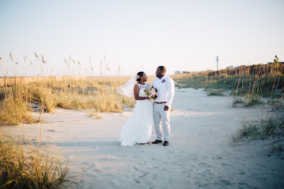 Fiddlehead Photography