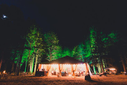 Flagstaff Forest Weddings