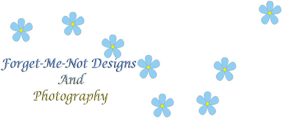 Forget-Me-Not Designs and Photography