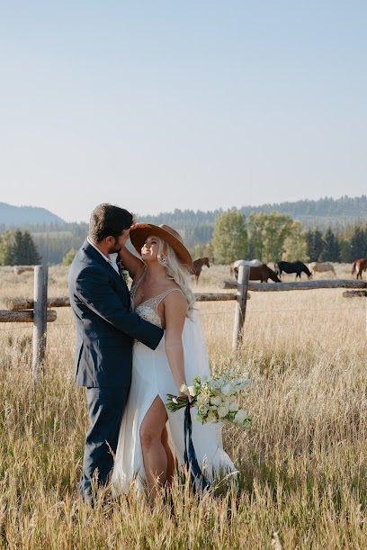 Foxtails Photography