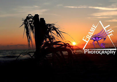 Frame Life Photography