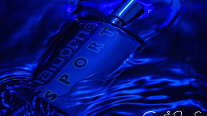 Gary Duncan Photography